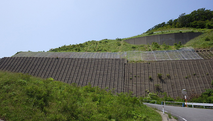 覆式ロックネット工法